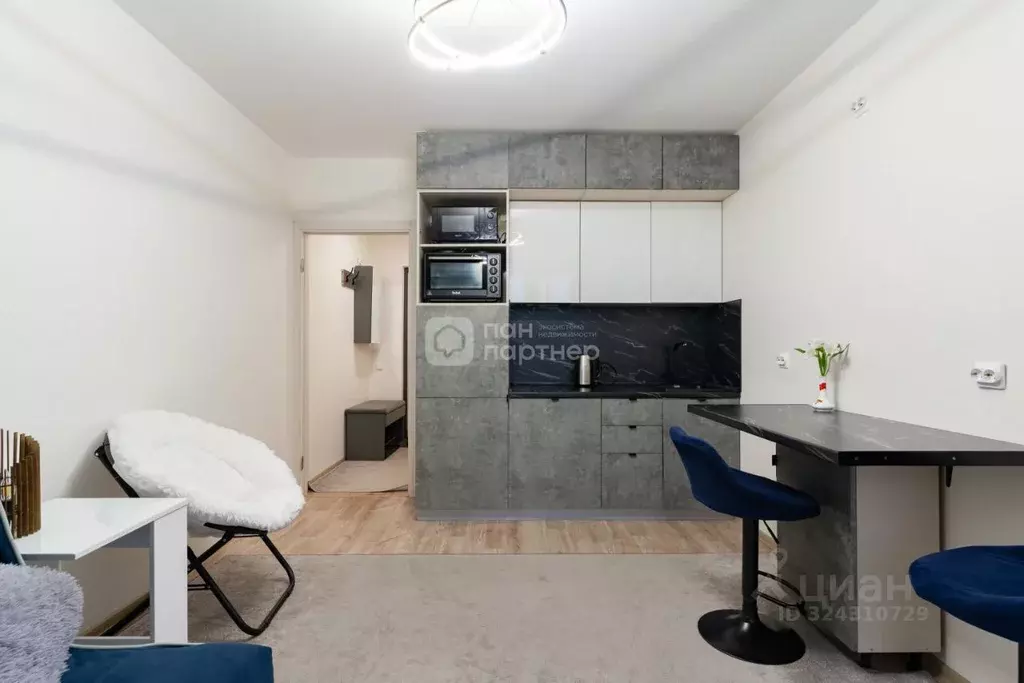 Студия Санкт-Петербург наб. Реки Каменки, 19к1 (20.9 м) - Фото 2