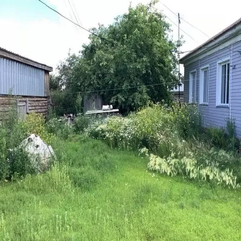 Дом в Алтайский край, Каменский район, с. Новоярки Центральная ул., 88 ... - Фото 1