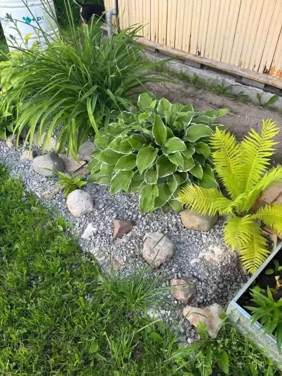Дом в Вологодская область, Шекснинский муниципальный округ, Радуга СОТ ... - Фото 1