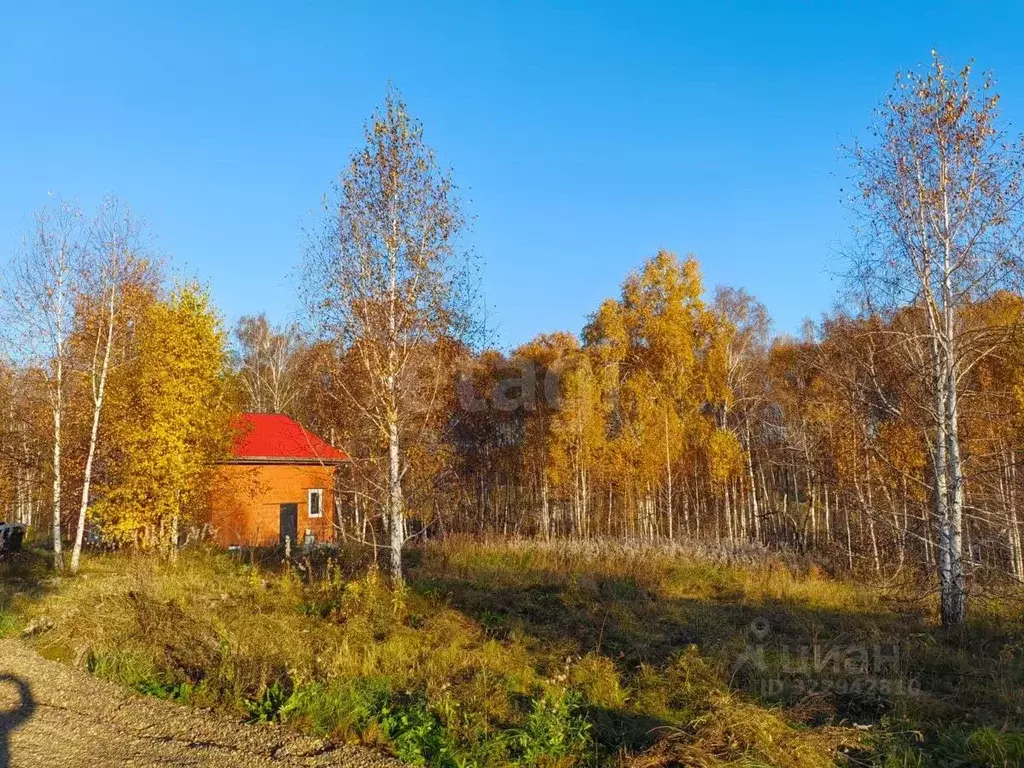 Участок в Красноярский край, Емельяновский муниципальный округ, пос. ... - Фото 2