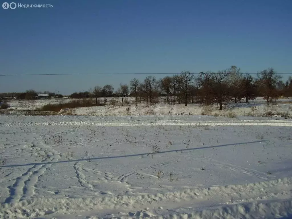 Участок в село Бураково, Полевая улица (1600 м) - Фото 0