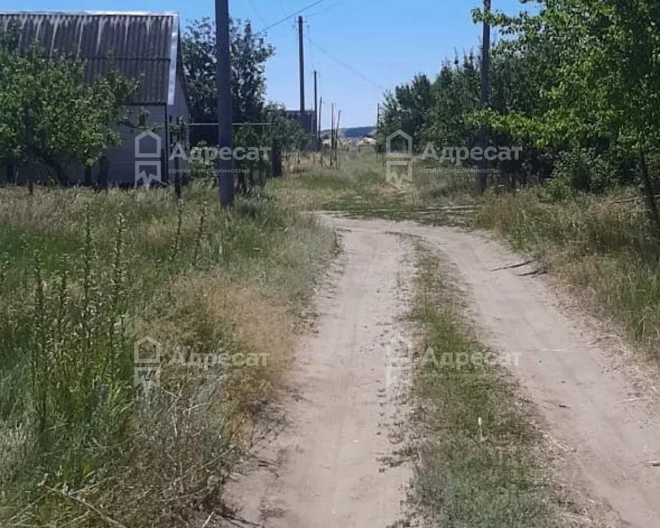 Участок в Волгоградская область, Калач-на-Дону Дон СНТ,  (6.0 сот.) - Фото 0