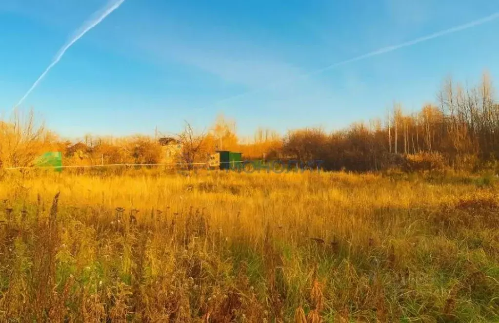 Участок в Марий Эл, Медведевский район, Знаменское с/пос, Нива-1 СНТ ... - Фото 2
