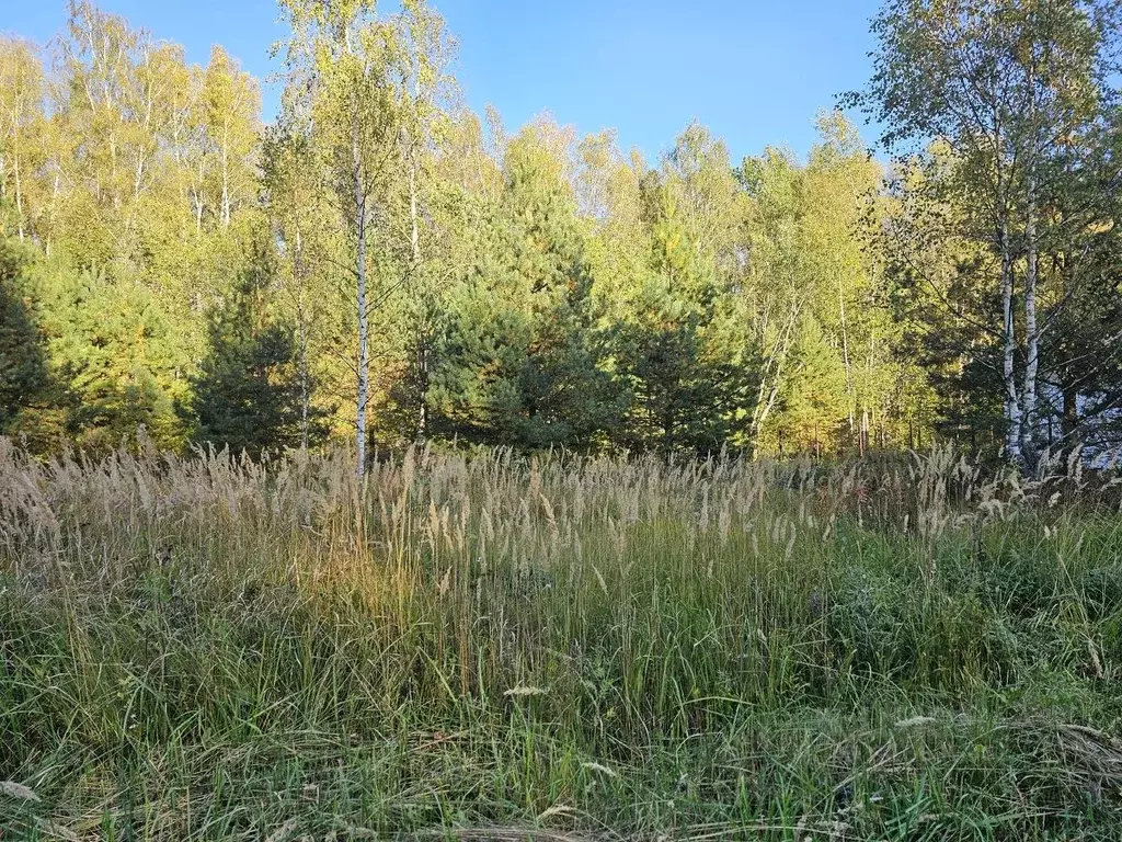 Участок в Московская область, Ступино городской округ, Олимп кп  (8.75 ... - Фото 1