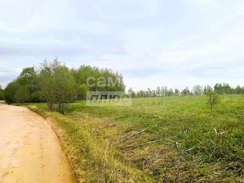 Участок в Ярославская область, Переславль-Залесский городской округ, ... - Фото 0