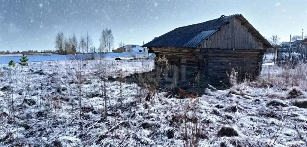 Участок в Владимирская область, Ковровский район, Новосельское с/пос, ... - Фото 1