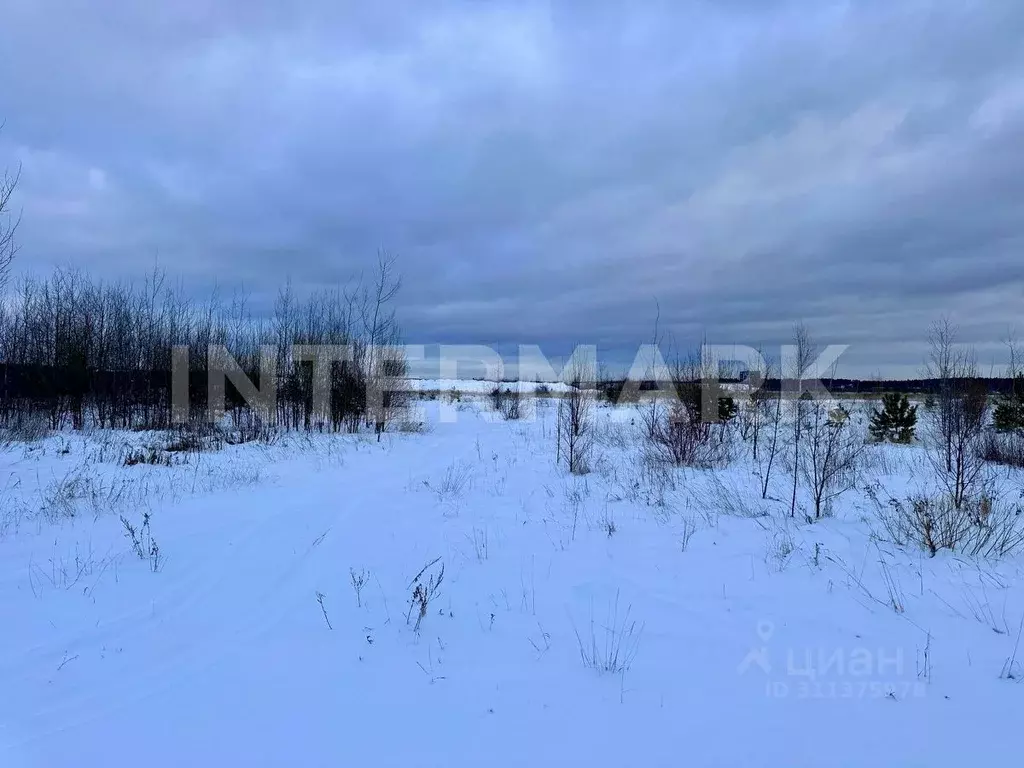 Участок в Московская область, Истра городской округ, д. Обушково  ... - Фото 1