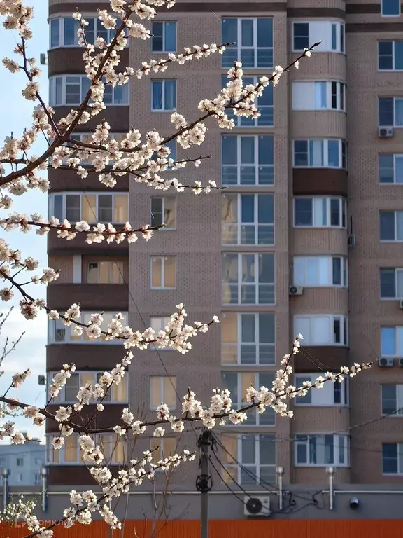 Продаётся 2-к квартира, 67.5 м - Фото 0