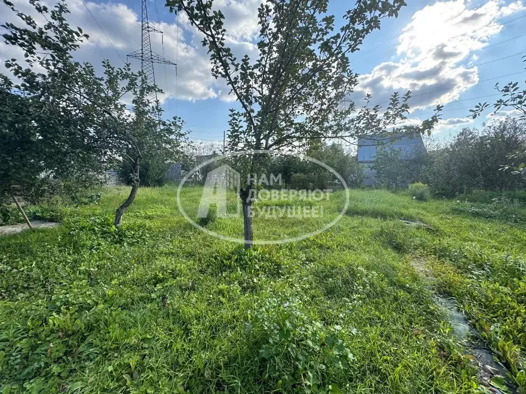 Дом в Пермский край, Чайковский городской округ, д. Кирилловка  (42 м) - Фото 2