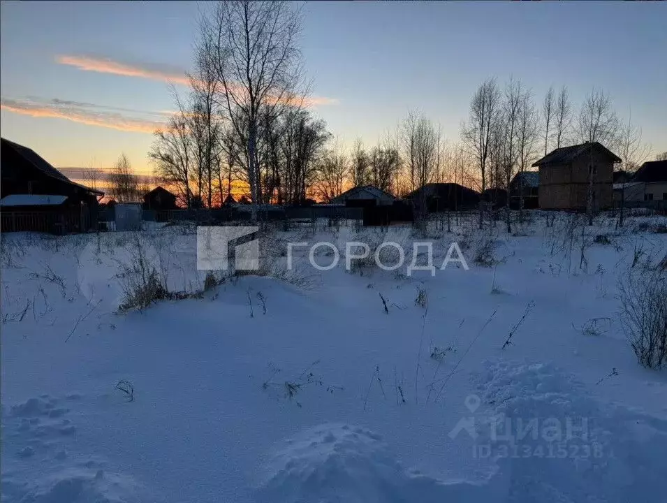 Участок в Новосибирская область, Новосибирский район, Верх-Тулинский ... - Фото 1