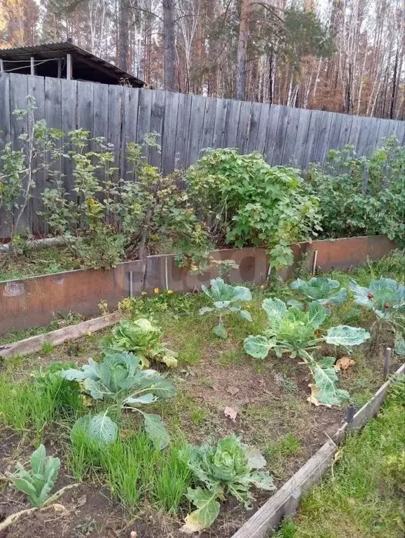 Дом в Забайкальский край, Читинский район, № 58 Озон СНТ ул. ... - Фото 1