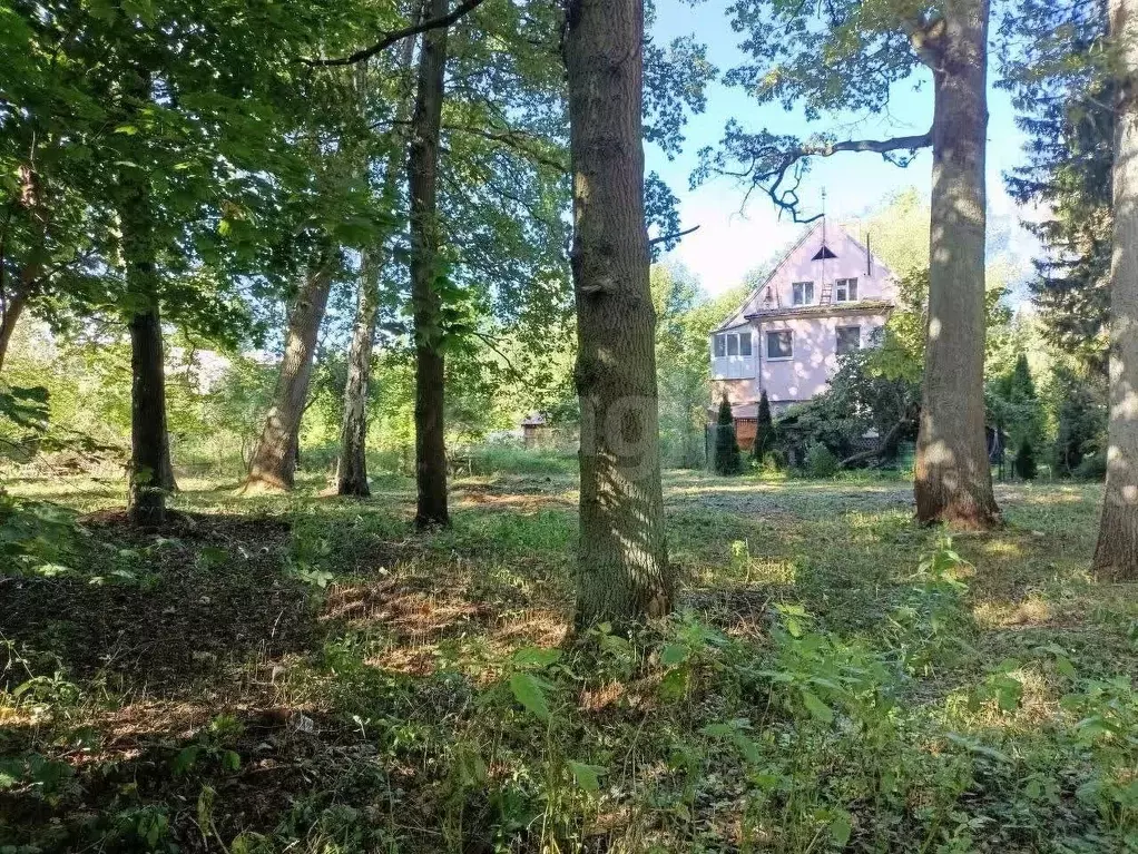 Участок в Калининградская область, Калининград Александра ... - Фото 2