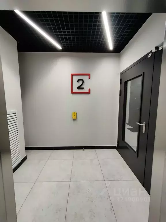 Студия Санкт-Петербург Пулковское ш., 95к3 (24.0 м) - Фото 2