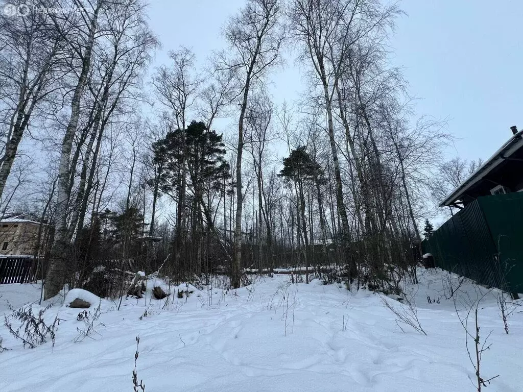 Участок в городской посёлок Лебяжье, Красногорская улица (12 м) - Фото 2