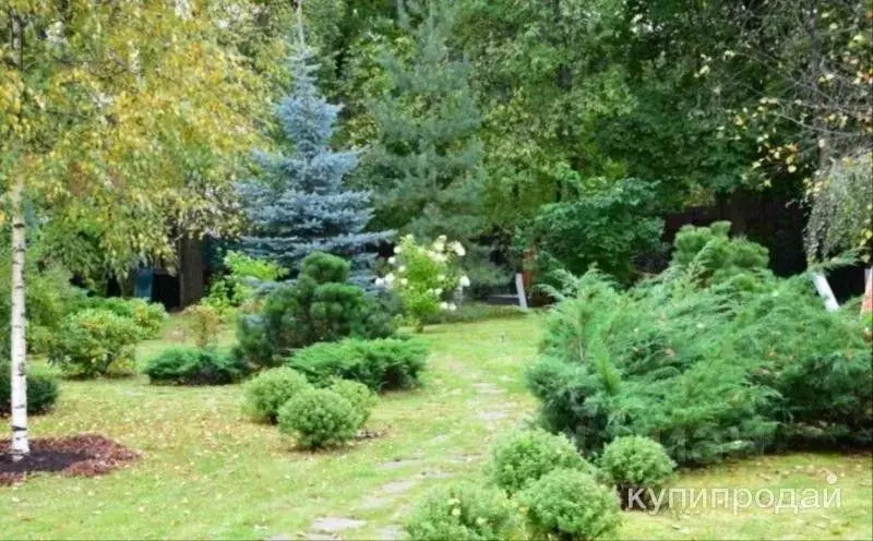 Участок в Самарская область, Красный Яр с/пос, пос. Подлесный ул. ... - Фото 1