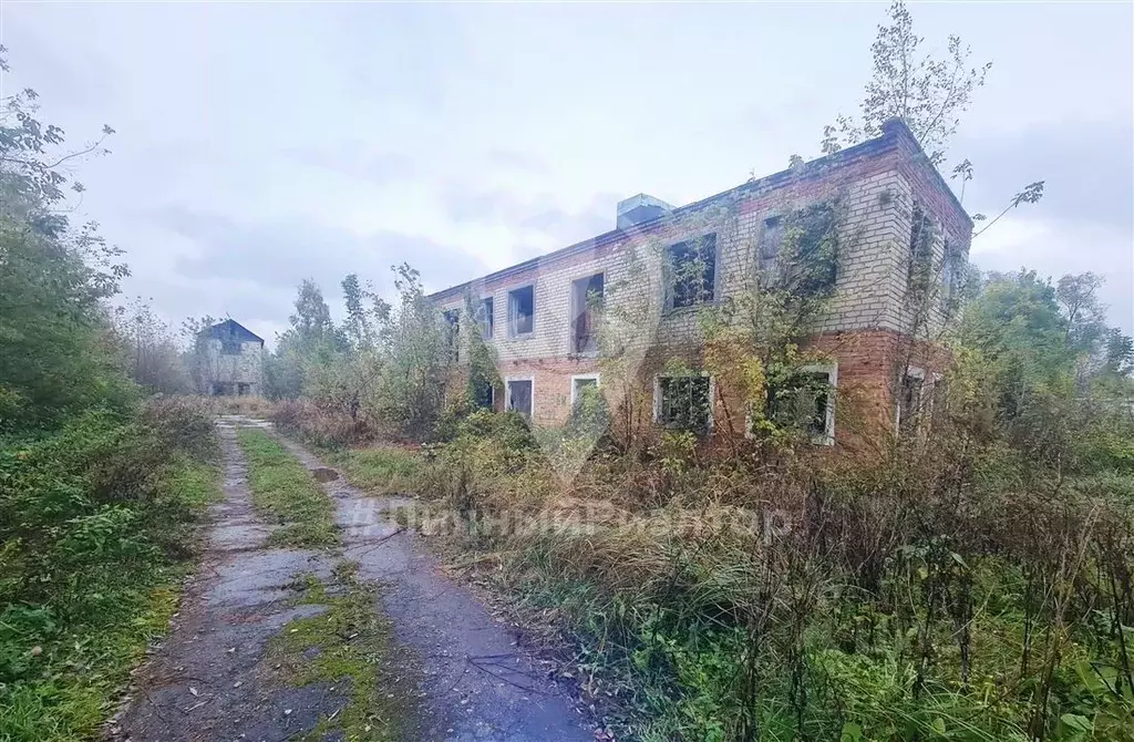 Участок в Рязанская область, Скопинский район, с. Горлово ... - Фото 1