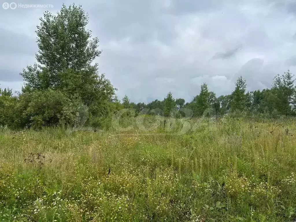 Участок в Тюменский район, село Луговое (38.1 м) - Фото 0