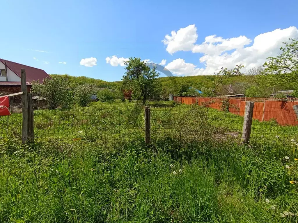 Участок в Краснодарский край, Апшеронский район, Куринская ст-ца ... - Фото 2