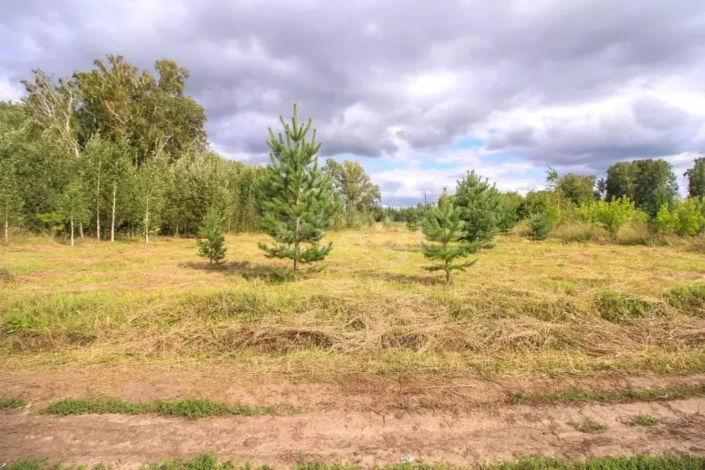 Участок в Алтайский край, Первомайский район, пос. Новый ул. ... - Фото 2