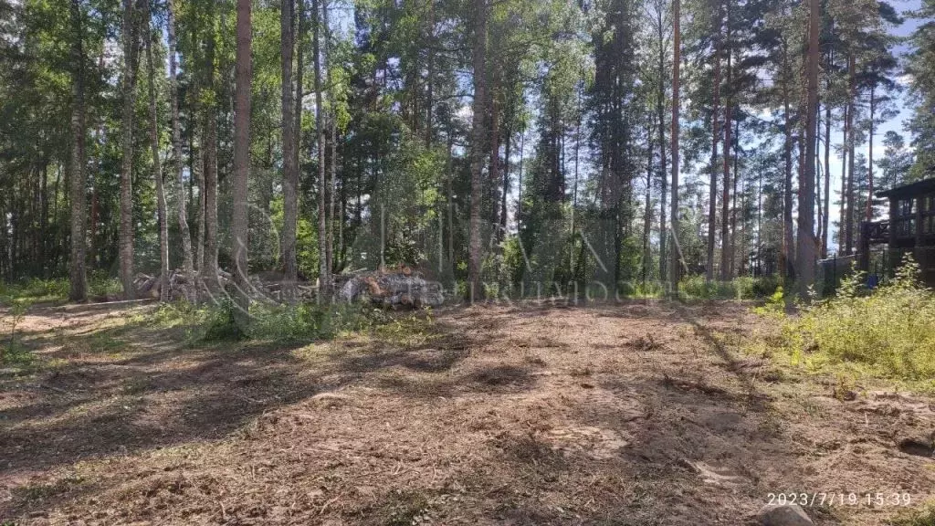 Участок 13,8 сот. (ИЖС) - Фото 0