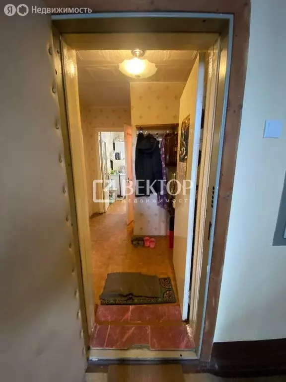 1-комнатная квартира: Кострома, Никитская улица, 142 (38 м) - Фото 1