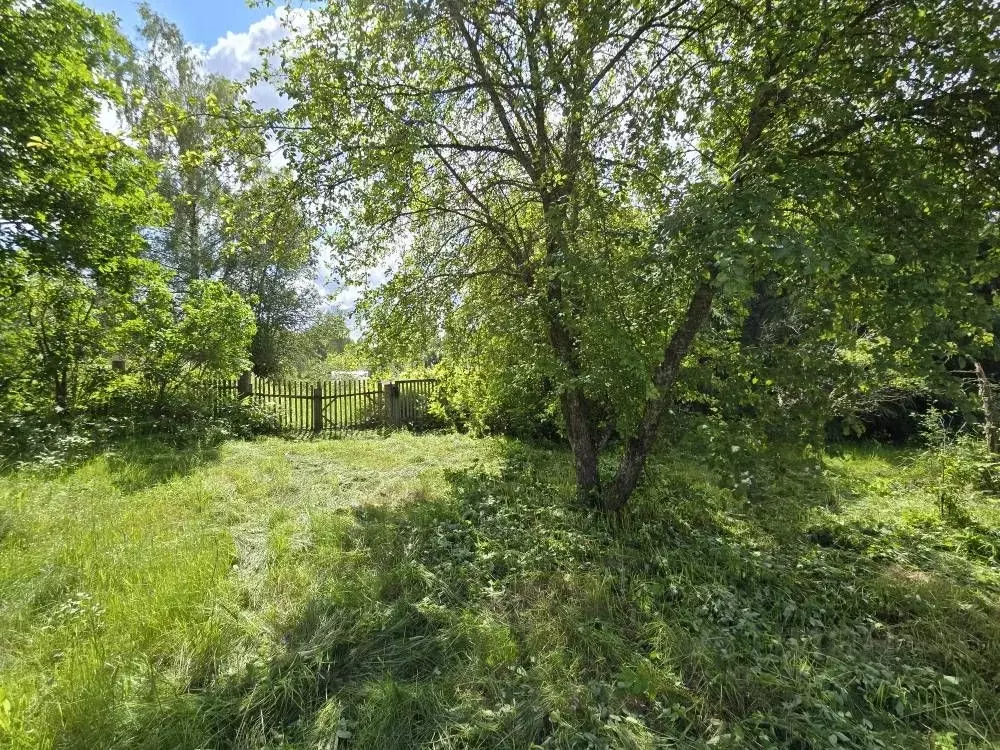 Дом в Новгородская область, Любытинский район, Неболчское с/пос, д. ... - Фото 1