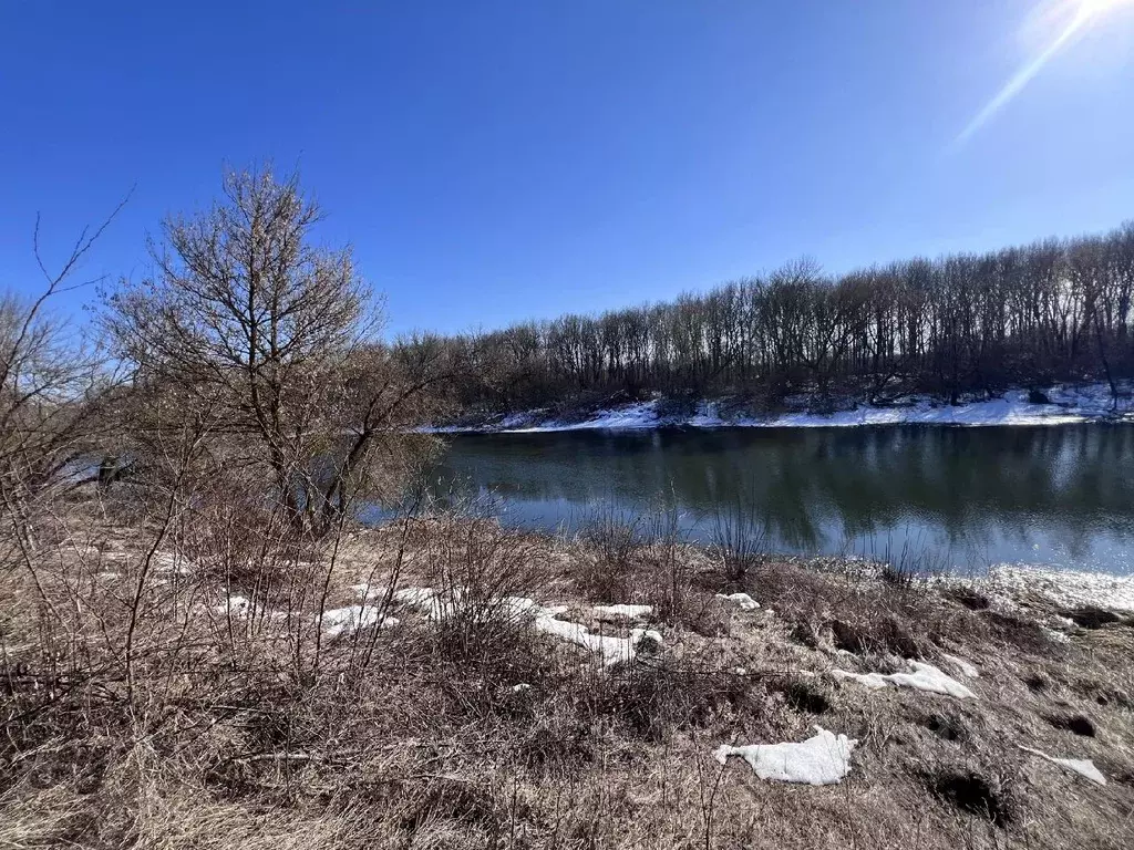 Участок в Курская область, Курский район, с. Кувшинное  (231.4 сот.) - Фото 1