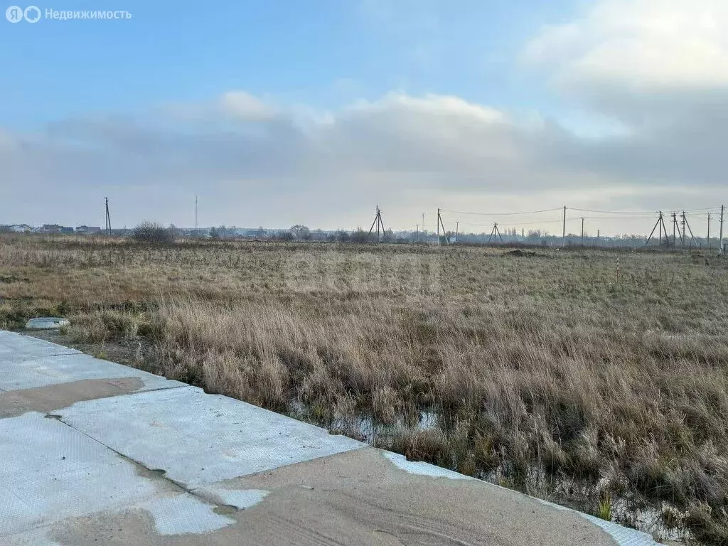 Участок в Калининградская область, Зеленоградский муниципальный округ, ... - Фото 2