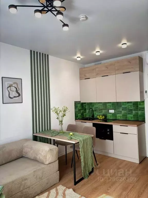 Студия Москва 1-й Грайвороновский проезд, 3Ак3 (20.0 м) - Фото 2