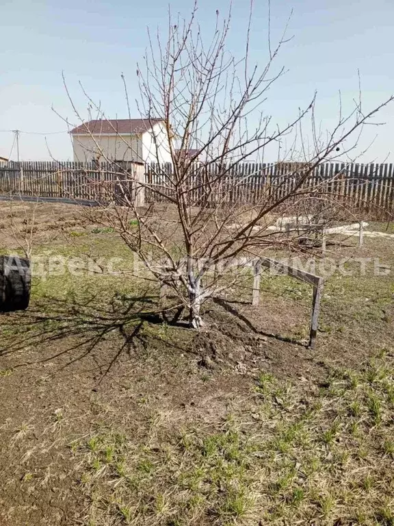 Участок в Тюменская область, Тюменский район, Воскресенье-1 ДНТ ул. ... - Фото 1