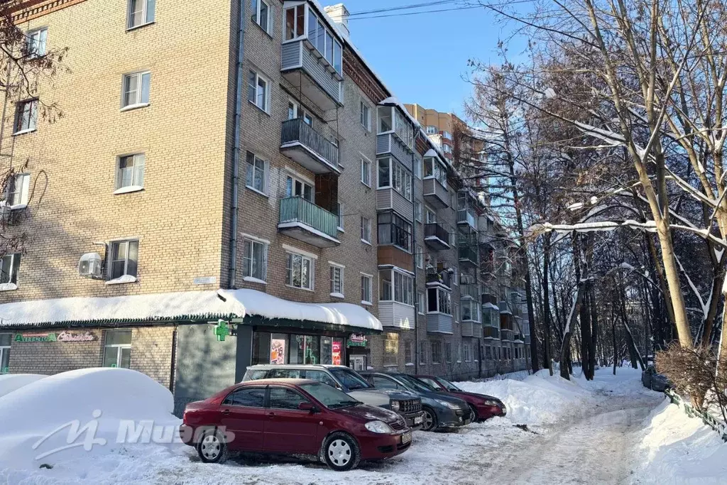 1-к кв. Московская область, Пушкино Надсоновская ул., 18 (30.2 м) - Фото 1