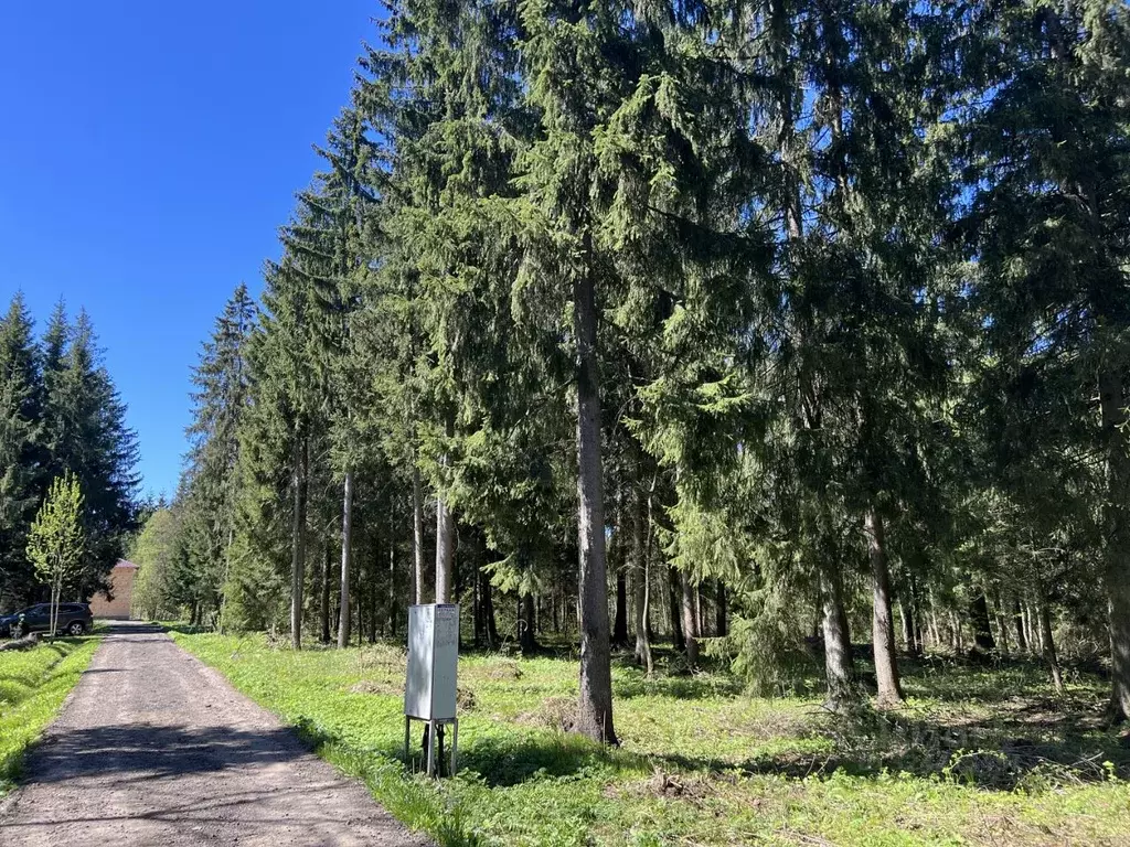 Участок в Московская область, Дмитровский муниципальный округ, д. ... - Фото 1