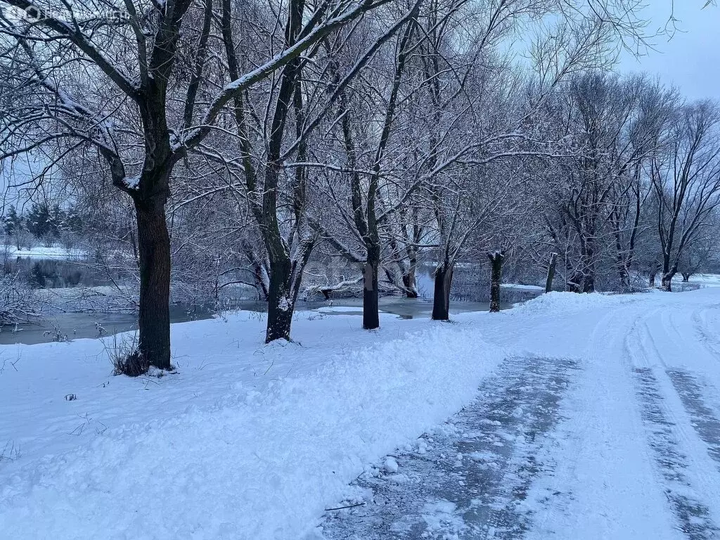 Участок в Брянский район, Супоневское сельское поселение, село ... - Фото 0