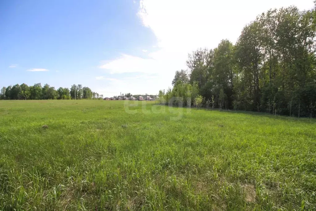 Участок в Алтайский край, Первомайский район, с. Фирсово, Полесье мкр  ... - Фото 1