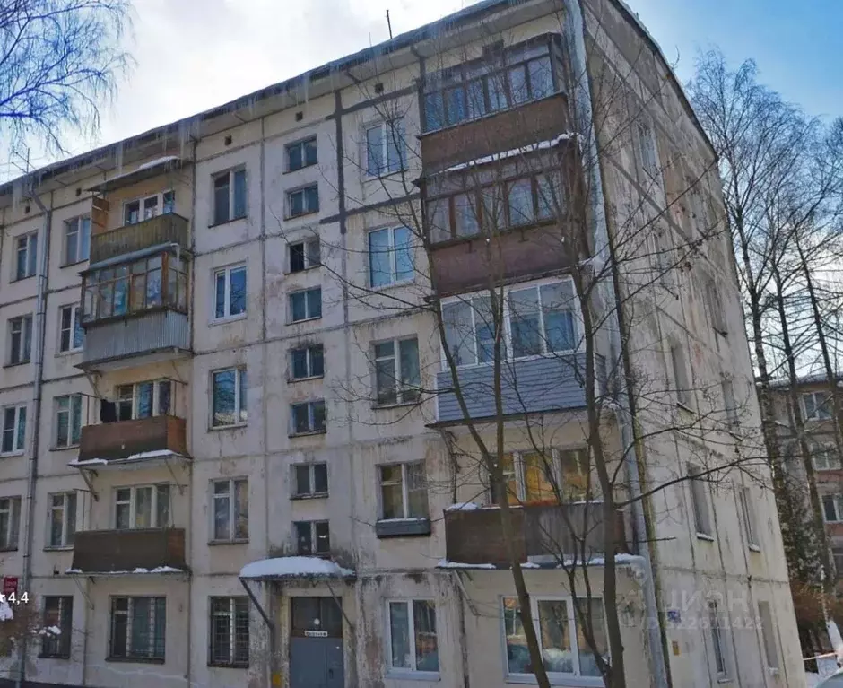 1-к кв. Московская область, Пушкино Мамонтовка мкр, ул. Мира, 10 (33.0 ... - Фото 1