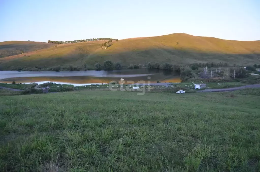 Участок в Алтайский край, Алтайский район, с. Верх-Ая Алтайская ул. ... - Фото 1
