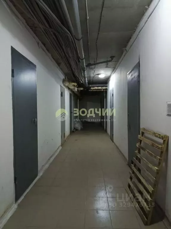 Помещение свободного назначения в Чувашия, Чебоксары Университетская ... - Фото 1