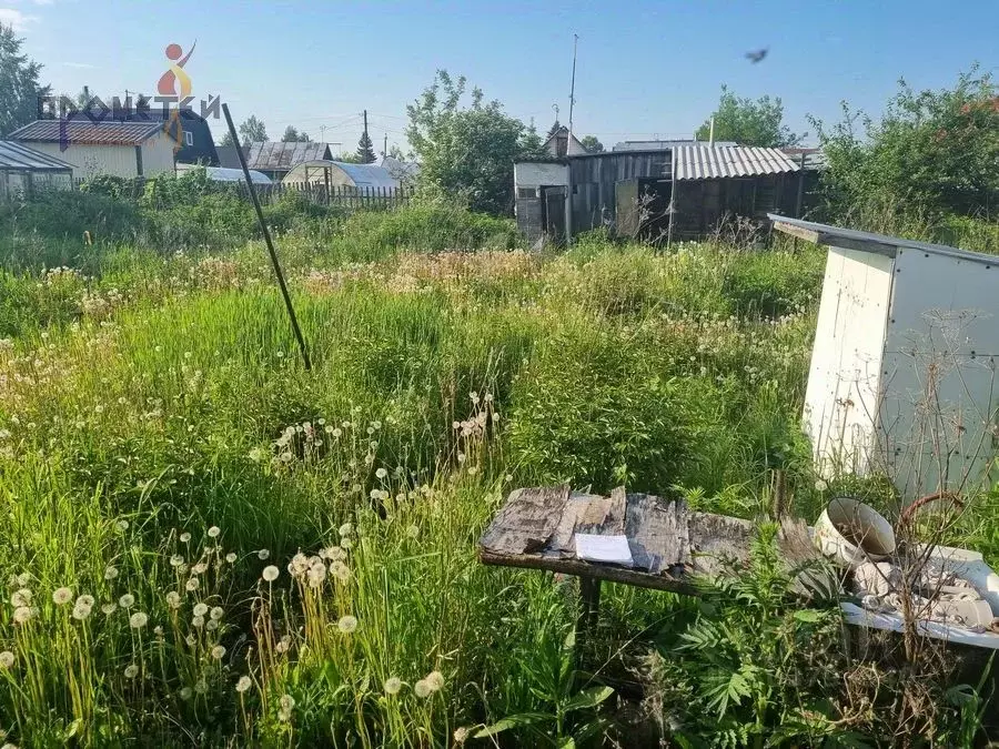 Участок в Новосибирская область, Новосибирск Буревестник садовое ... - Фото 1