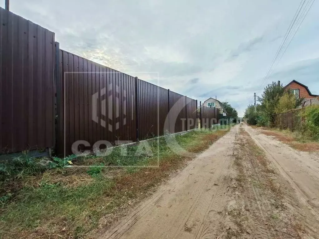 Участок в Воронежская область, Рамонский район, Новоживотинновское ... - Фото 2