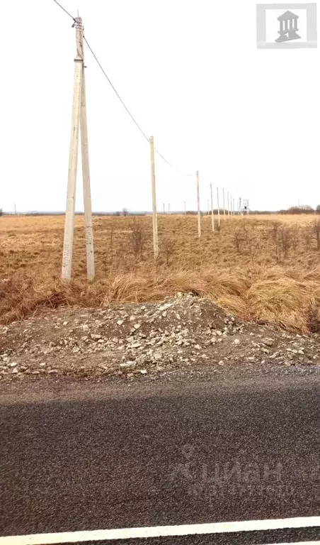 Участок в Калининградская область, Гурьевский муниципальный округ, ... - Фото 1