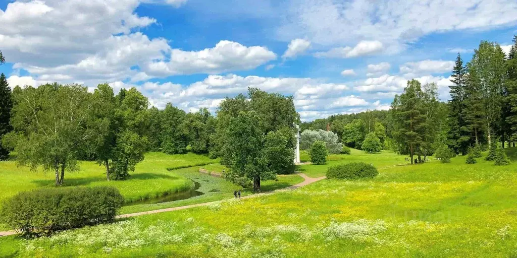 Участок в Санкт-Петербург, Санкт-Петербург, Павловск дор. Пограничная ... - Фото 2