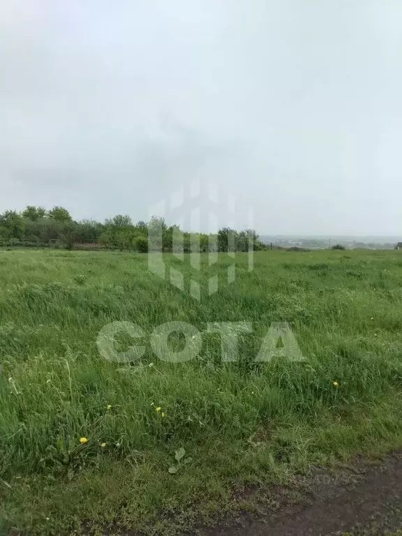 Участок в Воронежская область, Новоусманский район, ... - Фото 1