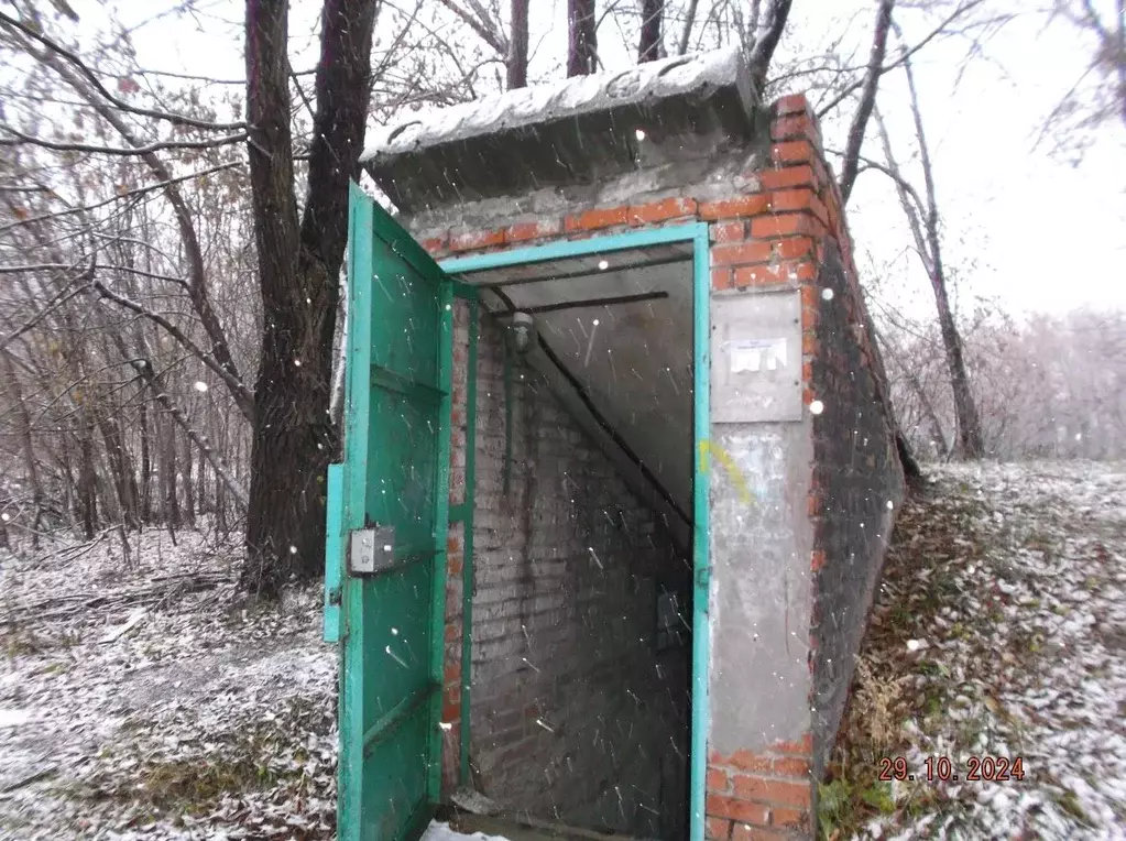 Помещение свободного назначения в Новосибирская область, Новосибирск ... - Фото 1