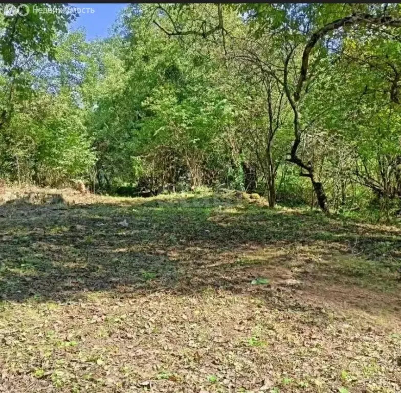 Участок в село Курджиново, Алычёвая улица (12.64 м) - Фото 1