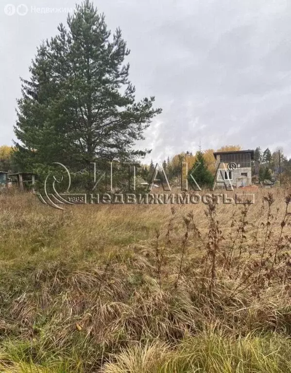 Участок в Выборгский район, Селезнёвское сельское поселение, ... - Фото 2