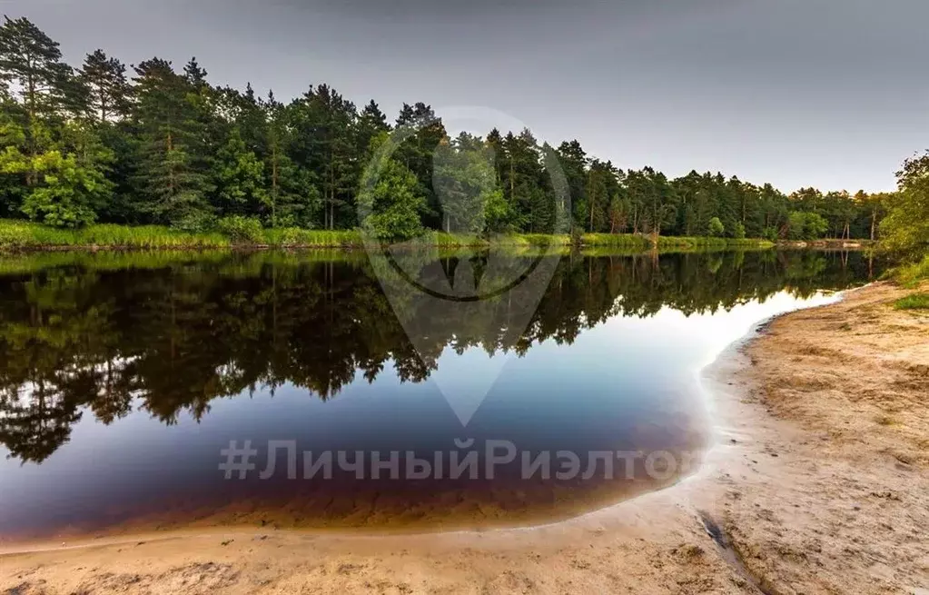 Участок в Рязанская область, Рязанский район, Заборьевское с/пос, д. ... - Фото 0