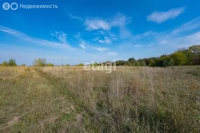 Участок в Пермский муниципальный округ, деревня Качка (590.1 м) - Фото 1