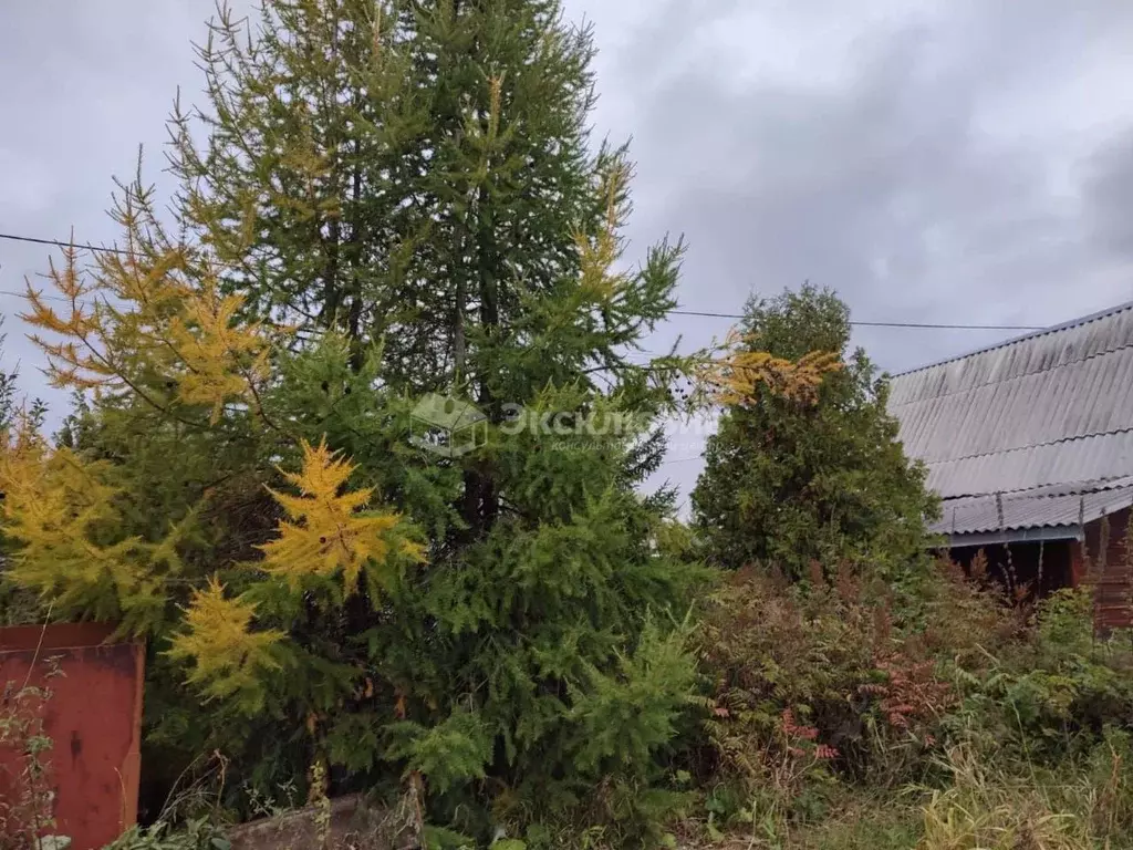 Дом в Тюменская область, Тюмень Дубравушка СНТ, ул. Центральная (20 м) - Фото 0