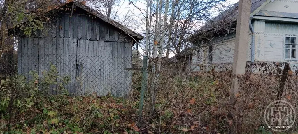 Дом в Новгородская область, Батецкий муниципальный округ, д. Большие ... - Фото 1