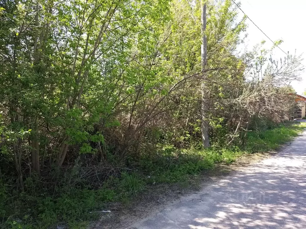 Участок в Московская область, Ликино-Дулево Орехово-Зуевский городской ... - Фото 1